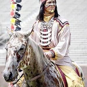 Meet your Posher, Sinatra